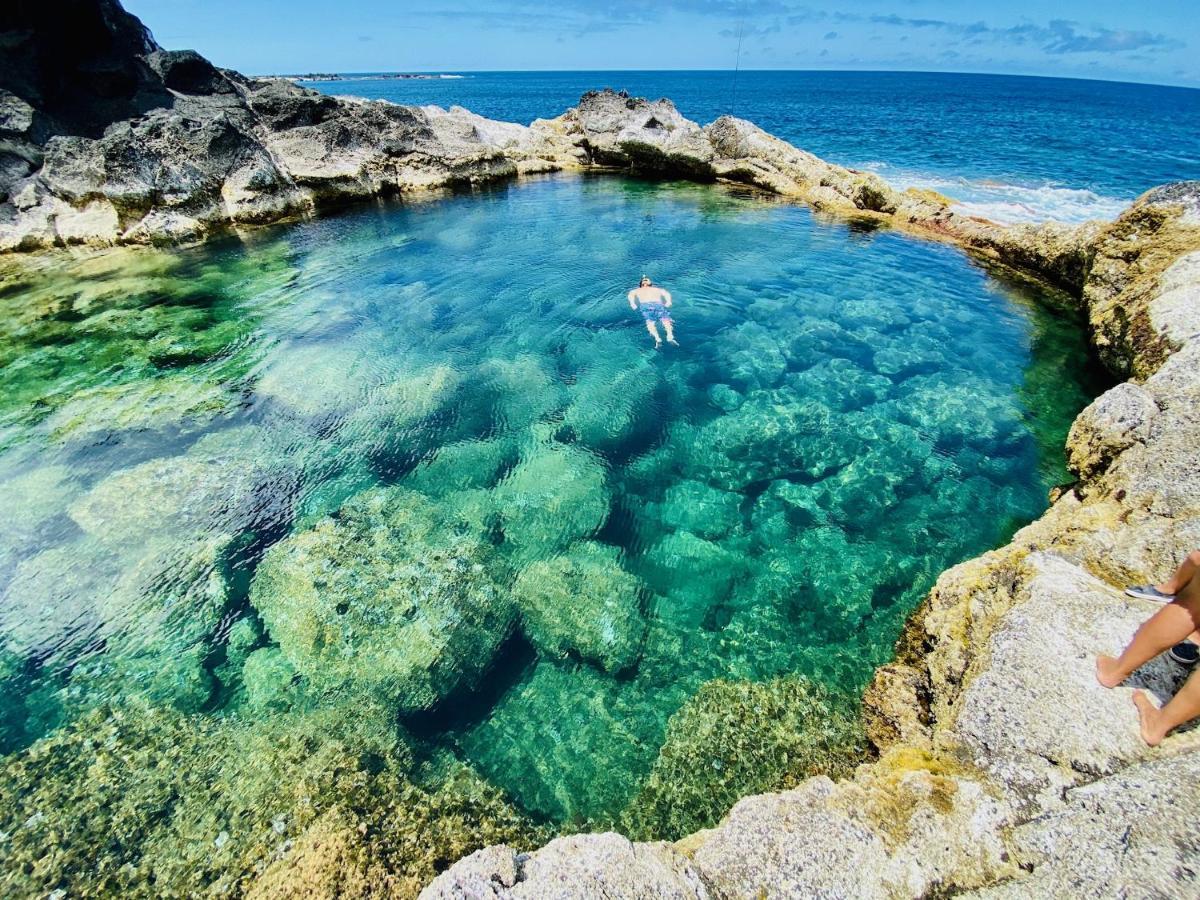 Sea Roots "Garden Zone " Villa Mosteiros  Exterior photo